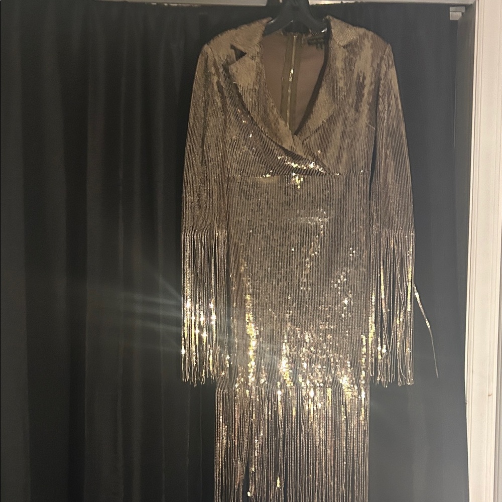 Gold Sequin Fringe Dress